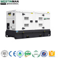 Home Use 50kva 40kw trailer type generator diesel by WP4.1D66E200 engine